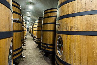 这个周末，免费畅玩《刺客信条：英灵殿》！